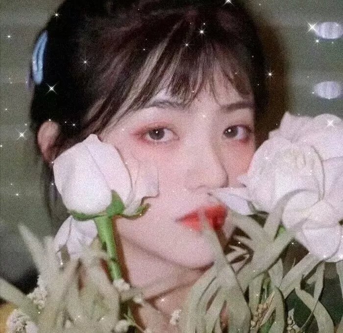 碧血金沙